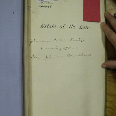SDC10497