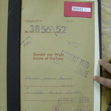 SDC11543