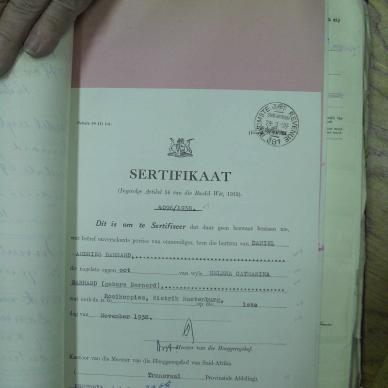 SDC17491