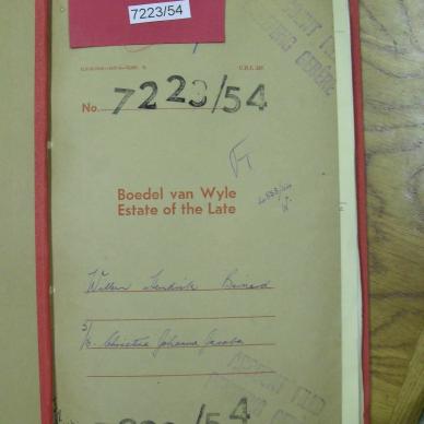 SDC10285