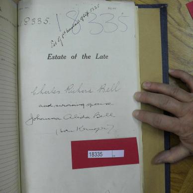 SDC10420