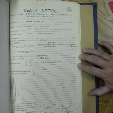 SDC10421