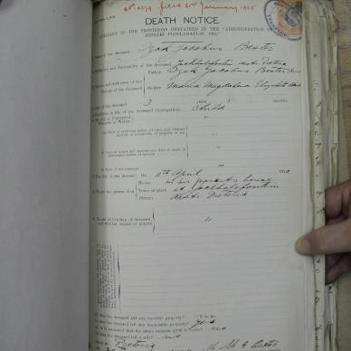 SDC10674