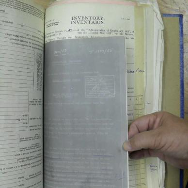 SDC10389