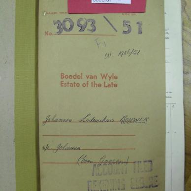 SDC10282