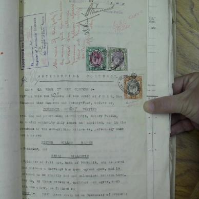 SDC10329