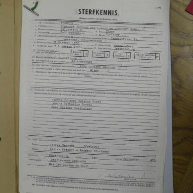 SDC10241