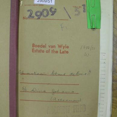 SDC10216