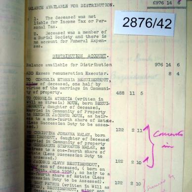 2876-42 BEZUIDENHOUT Daniel Elardus _05