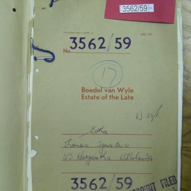 SDC10433