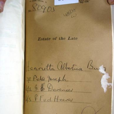 80905 Henrietta Albertina _01