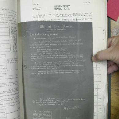 SDC10559