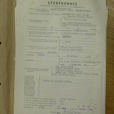 SDC19454