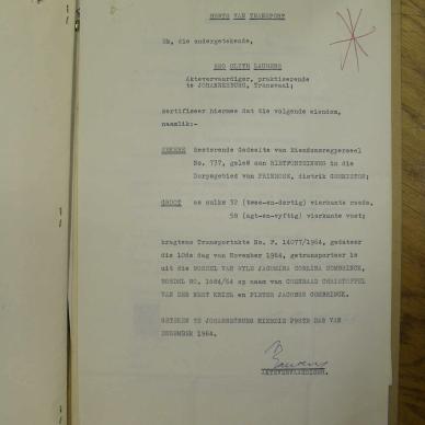 SDC13603
