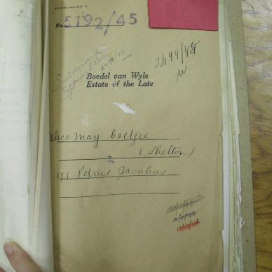SDC19832