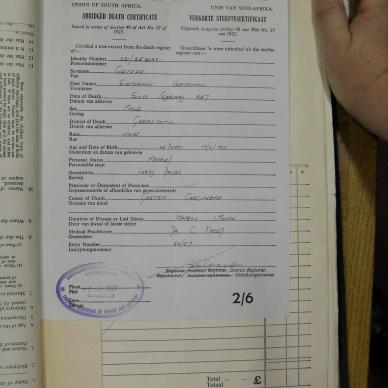 SDC10365