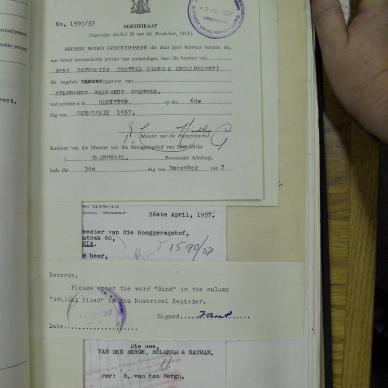 SDC10366