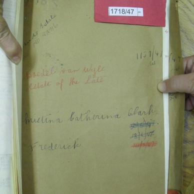 SDC10373