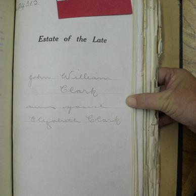SDC10371