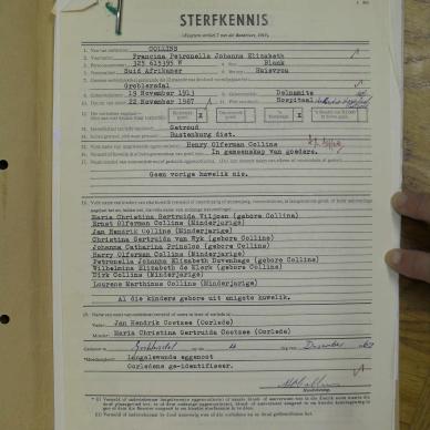 SDC10390