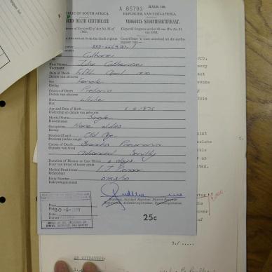SDC10561
