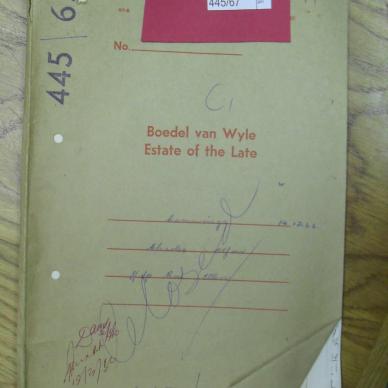 SDC10232