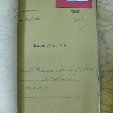 SDC10956