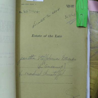 SDC10749