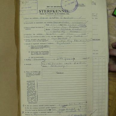 SDC10565