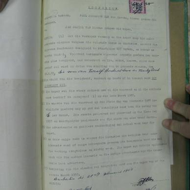 SDC10239