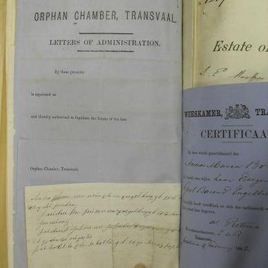 SDC10295