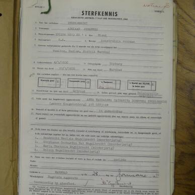 SDC11913