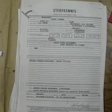 SDC11918