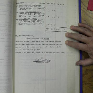 SDC11699