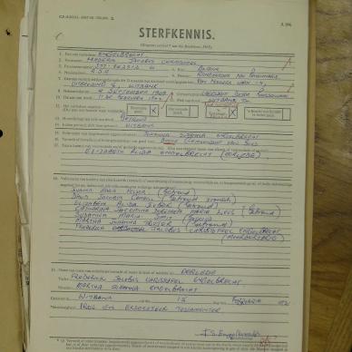 SDC10546