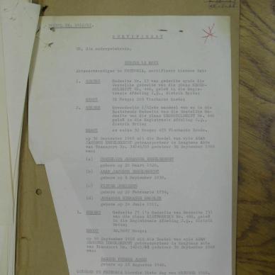 SDC11907
