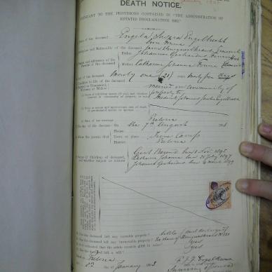 SDC10069