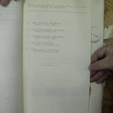 SDC10490