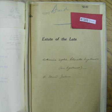 SDC10313