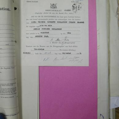 SDC11638