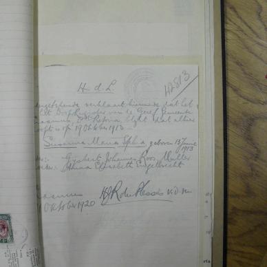 SDC11329