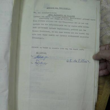 SDC10266