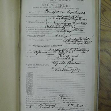 SDC10331