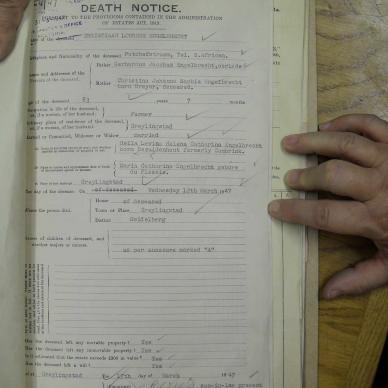 SDC10230