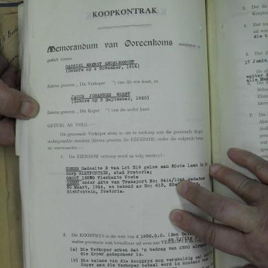 SDC10317