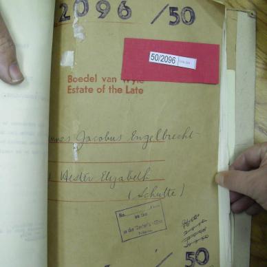 SDC10545