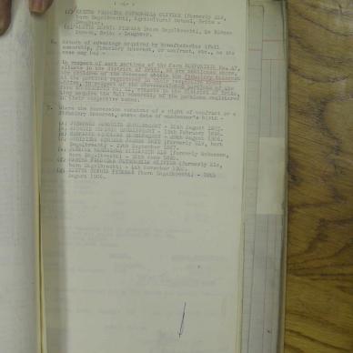 SDC10947