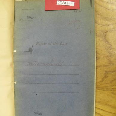 SDC10787