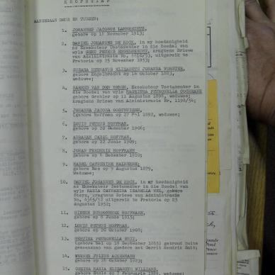 SDC10388