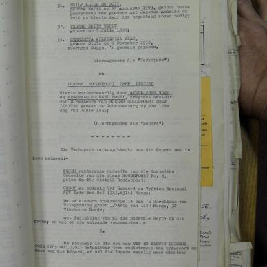 SDC10390